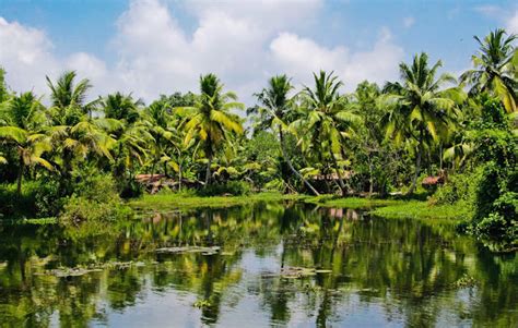 Kerala केरल A Voyage To Kerala State India इंडिया Asia