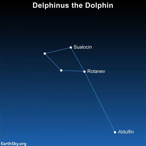 Delphinus The Dolphin Is Shaped Like A Kite Skyearth
