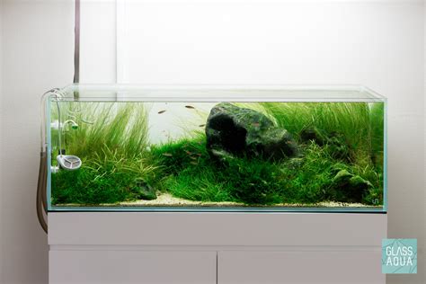 Ultum Nature Systems Rimless Long Glass Aquarium Tank