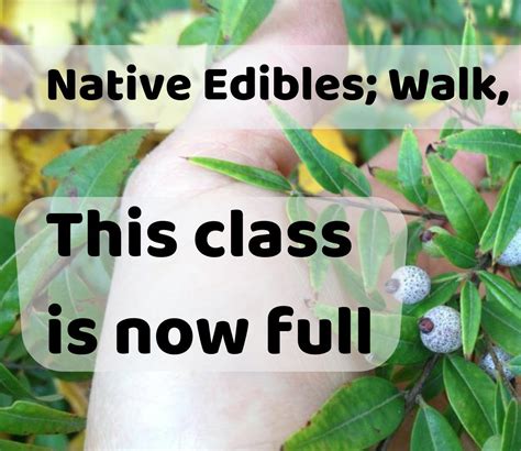 Native Edibles Walk Talk Taste At Gunyah Garden Edible Eden Design
