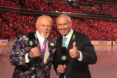 hockey night in canada commentator don cherry fired over on air immigrant comment canada