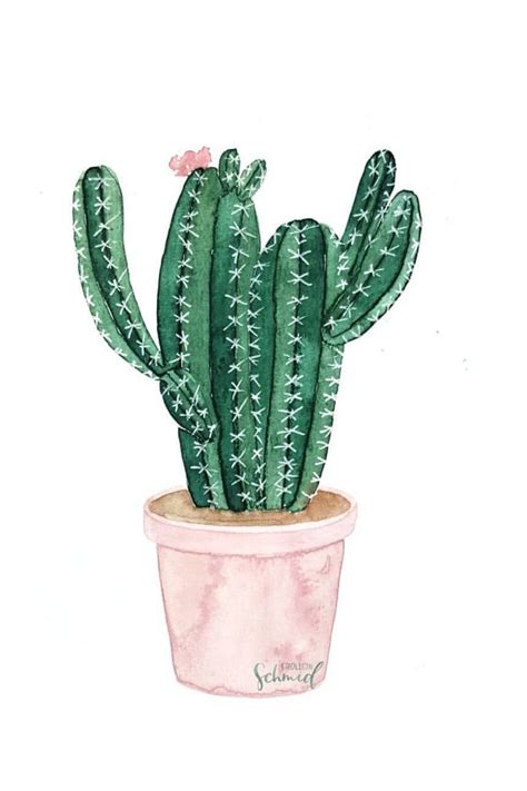 The prickly pear cactus was designated the official plant symbol of texas in 1995; Pin oleh Moleti Rosella di Quarto Helena | Lukisan kaktus ...
