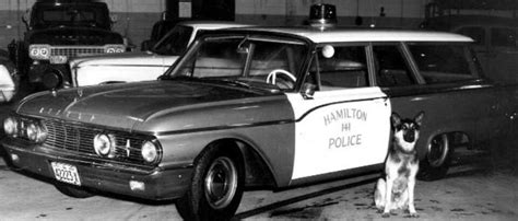 Canine Unit started | Police, Old police cars, Hamilton