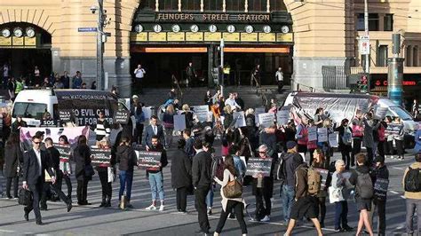 *subject to avail 1300 768 996. Vegan protesters cause chaos in Melbourne, 9 arrested in ...