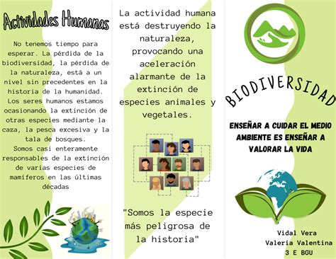 Biodiversidad Tr Ptico Plantilla De Tr Ptico Ejemplos De Tripticos