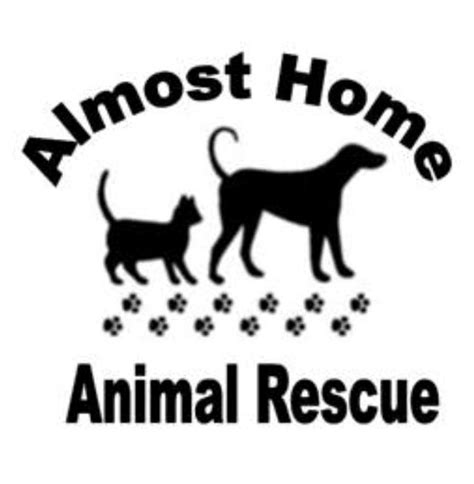 Veronica Nellins Is Fundraising For Almost Home Animal Rescue Ni