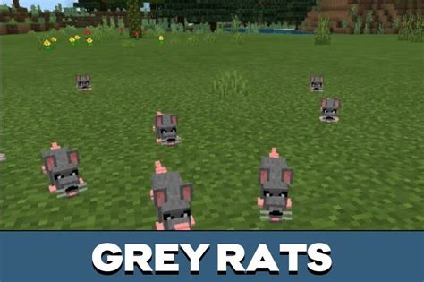 Download Rat Mod For Minecraft Pe Rat Mod For Mcpe