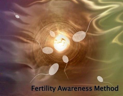 Your Everyday Guide For Fertility Awareness Method