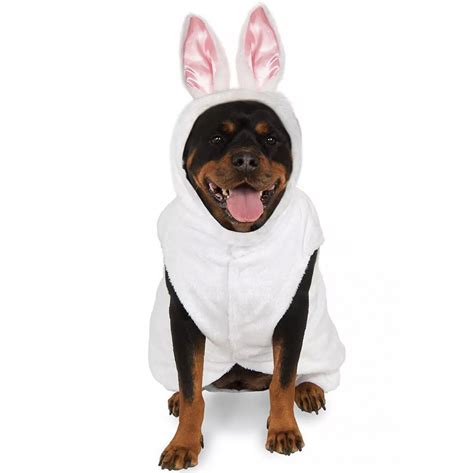 20 Cute Halloween Costumes For Extra Large Dogs Up To 3xl Hey