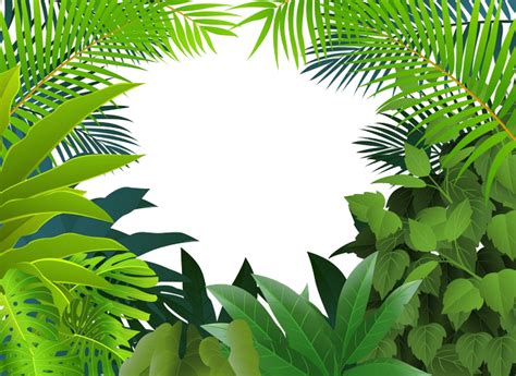 Cartoon Jungle Leaves Border Safari Jungle Leaves Png Check Out Our