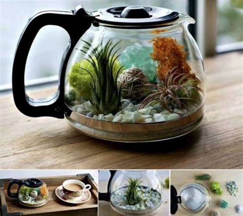 Steph weber is a mom and freelance writer hailing from the midwest. Terrarium Coffee Pot Is An Easy DIY Video Instructions