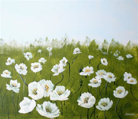 Field Of White Poppies By Almeta Redbubble