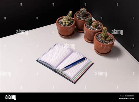 Desktop Still Life With Plants Corner Of A Desk With Potted Cacti A