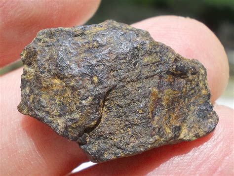Nwa 10158 Mésosidérite 5 52 G Allmétéorite Pour La Science Et