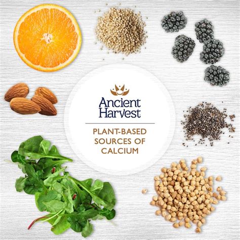 10 Sources of Plant-Based Calcium | Ancient Harvest