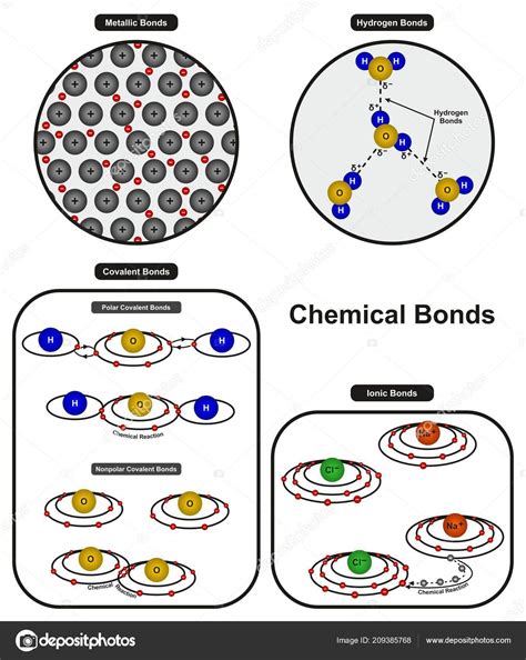 Chemical Bonds Infographic Diagram Showing Types Bonding Including