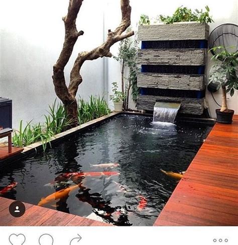 Desain Kolam Ikan Mini Untuk Taman Belakang Rumah | Kolam ikan, Desain