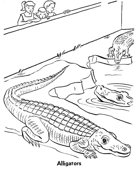This is our pterodactyl coloring page collection that includes pterodactuluses, pterodaons, and quezalquatlus flying reptiles to color coloring pages. Coloring Pages Reptiles - Coloring Home