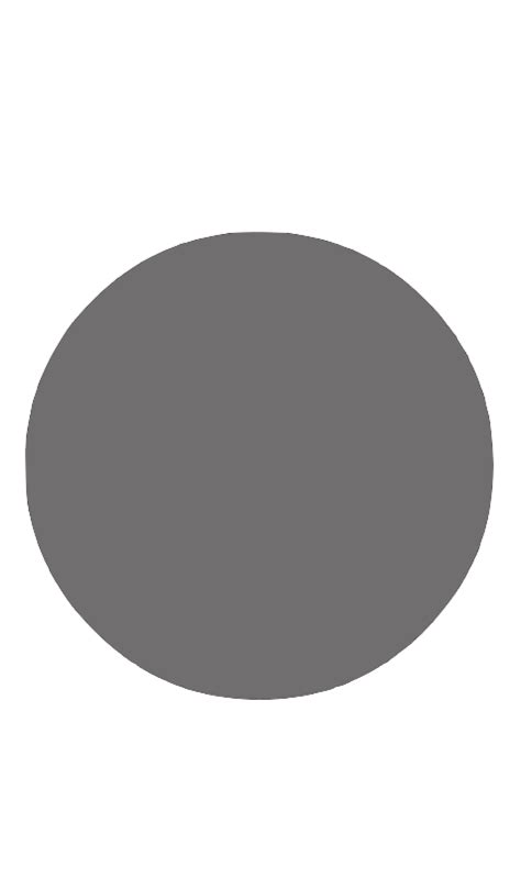 Grey Circle Icon At Collection Of Grey Circle Icon