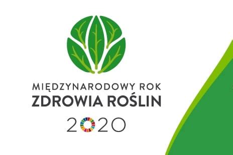 W polsce obchodom światowego dnia zdrowia towarzyszą obchody dnia pracownika służby zdrowia. Rozpoczyna się Międzynarodowy Rok Zdrowia Roślin - warzywa.pl