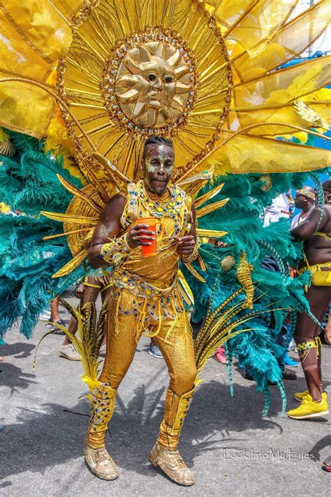 pin by felipe on trajes carnival costumes caribbean carnival costumes samba costume