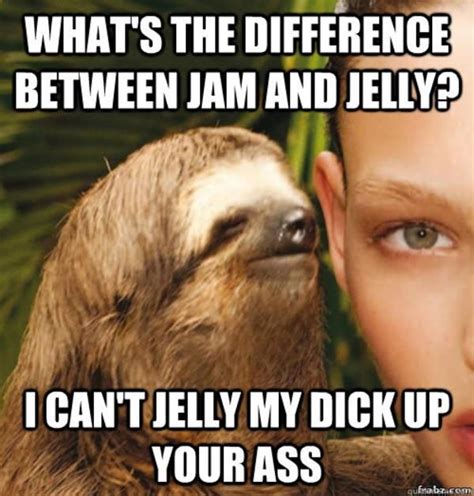 38 Best Sid The Sloth Images On Pinterest Funny Images Funny Photos And Sloth Memes