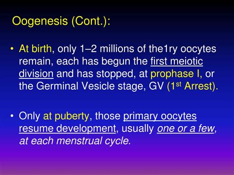 Ppt Reproduction In Humans Spermatogenesis Oogenesis Conception Implantationand Introduction