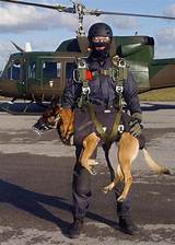 Dog Handler Army Training Photos