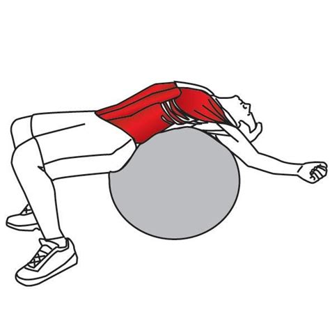 Trigger Point Therapy Rectus Abdominis Stretch Niel Asher Education