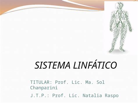 PPTX Sistema Linfatico DOKUMEN TIPS