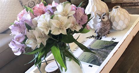 Maybe you would like to learn more about one of these? Easy Ways To Make Store Bought Cut Flowers Last Longer