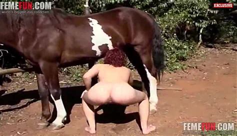 Horse Cums On Girl After A Very Hot Zoophilia Hardcore In