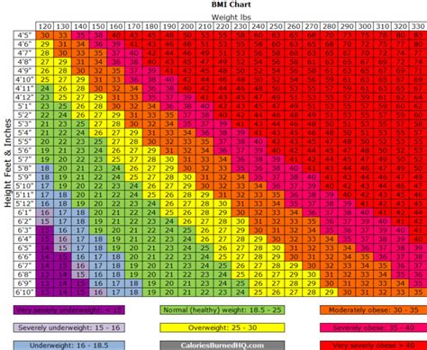 Healthy Healthy Bmi Range For Women