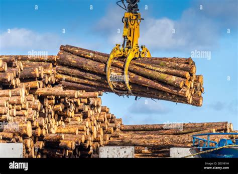 Timber Export Or Import Loading On Cargo Ship In Wicklow Commercial