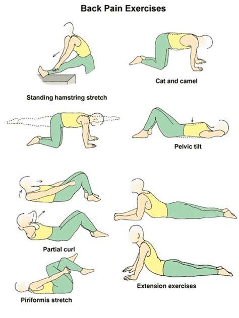 Printable Back Pain Exercises And Stretches