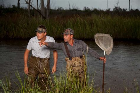 Experienced Gator Hunters Wanted For Swamp People Casting Houston