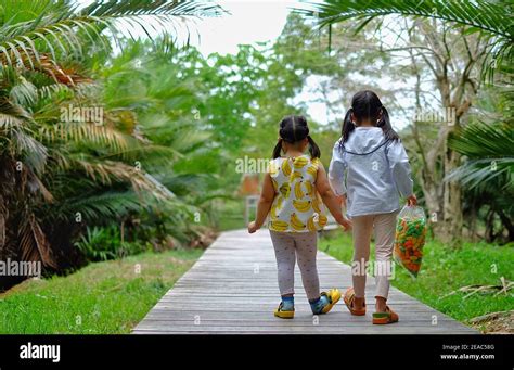 Back View Of Two Cute Young Asian Sisters Walking Together Along A Path