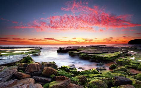 Sunset Coast In Australia Waves Rocks With Green Moss Sky Red Clouds
