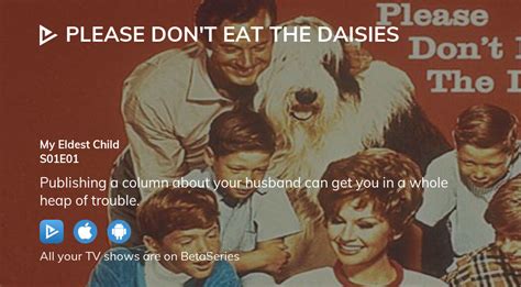 Watch Please Don T Eat The Daisies Season Episode Streaming Online
