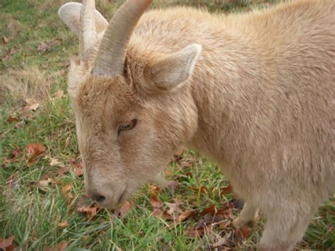 Check spelling or type a new query. Photo Gallery | Beaver Creek Farm Cabins, Strasburg, Pa