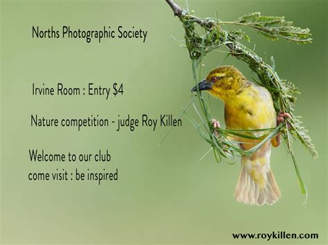 Competition Nature Norths Photographic Society Sydney