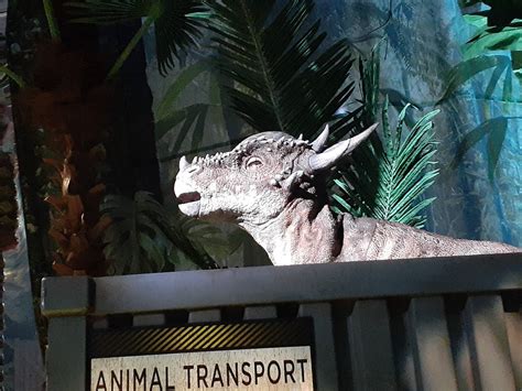 Jurassic World The Exhibition Stygimoloch By Leviarex On Deviantart