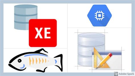 Dbas who need a free, starter database for training and deployment. Download and Install Oracle Database XE 11g on Google ...
