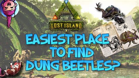 Dung Beetle Lost Island