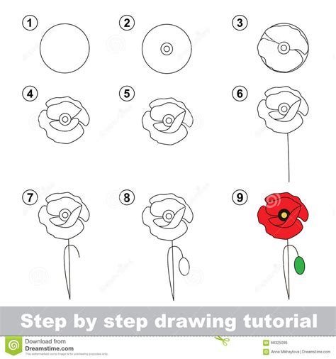 Drawing Tutorial How To Draw A Poppy Flower Drawing Tutorials