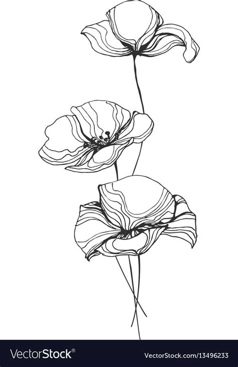 Line Art Flowers Flower Line Drawings Outline Drawings Line Art
