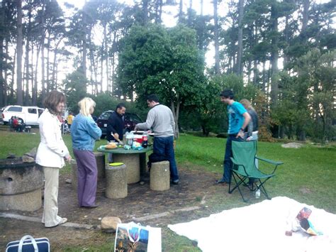 Here We Go Cape Town Newlands Forest Picnic Area