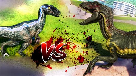 Indoraptor Vs Raptor Blue Fight Jurassic World Evolution Dinosaurs Battle Youtube