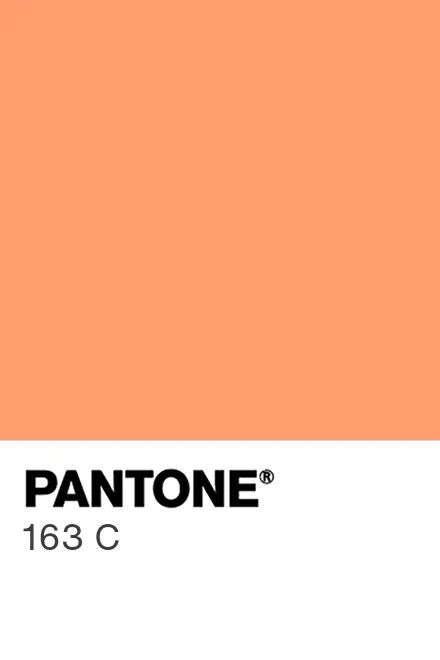 Pantone® Usa Pantone® 163 C Find A Pantone Color Quick Online