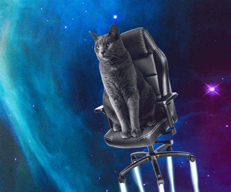 Space Cat GIF By Onmobia GmbH Find Share On GIPHY